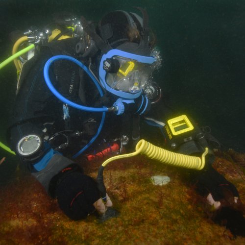 Medidor subaquático CYGNUS DIVE